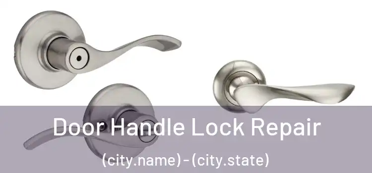 Door Handle Lock Repair (city.name) - (city.state)
